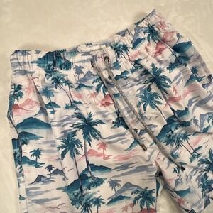 The Endless Summer, Men's Size‎ Medium, Blue White, Pink, Palm Trees Swim Trunks